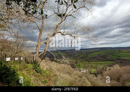 Die besten Wanderungen in Devon, die besten Wanderungen in Devon, teign Valley, landschaftlich schöner Wander- oder Wanderweg, Wälder, Flüsse und sanfte und sanfte Hügel. Stockfoto