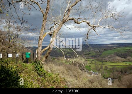 Die besten Wanderungen in Devon, die besten Wanderungen in Devon, teign Valley, landschaftlich schöner Wander- oder Wanderweg, Wälder, Flüsse und sanfte und sanfte Hügel. Stockfoto