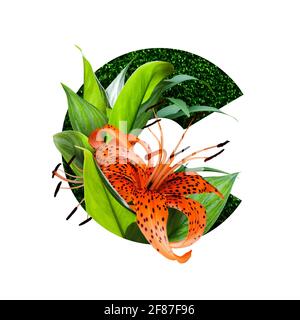 Blumenalphabet Illustration, Buchstabe c. Satz von Briefen mit botanischem Blumenstrauß. Hochzeitseinladungen, Grußkarten, Geburtstag, Logo, Poster andere Ideen Stockfoto