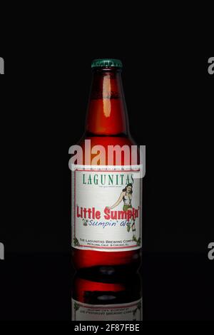 New York, USA - Mai 17 2020: Eine Flasche American Pale Ale Bier (Lagunitas Little Sumpin') auf schwarzem Hintergrund isoliert. Stockfoto