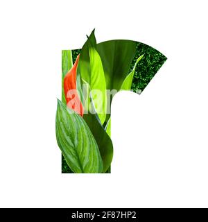 Blumenalphabet Illustration, Buchstabe r. Satz von Briefen mit botanischem Blumenstrauß. Hochzeitseinladungen, Grußkarten, Geburtstag, Logo, Poster andere Ideen Stockfoto