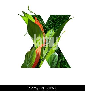 Blumenalphabet Illustration, Buchstabe x. Satz von Briefen mit botanischem Blumenstrauß. Hochzeitseinladungen, Grußkarten, Geburtstag, Logo, Poster andere Ideen Stockfoto