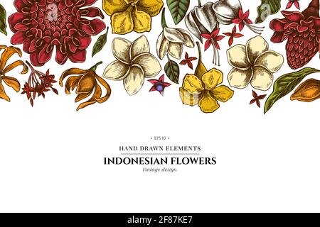 Blumenmuster mit farbigen Plumeria, allamanda, clerodendrum, Champak, etlingera, ixora Stock Vektor