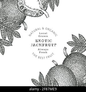 Handgezeichnete Skizze Stil Jackfruit Banner. Organic frisches Obst Vektor-Illustration. Retro Brotfrucht Design Vorlage Stockfoto