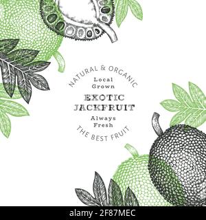 Handgezeichnete Skizze Stil Jackfruit Banner. Organic frisches Obst Vektor-Illustration. Retro Brotfrucht Design Vorlage Stockfoto