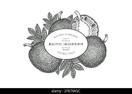 Handgezeichnete Skizze Stil Jackfruit Banner. Organic frisches Obst Vektor-Illustration. Retro Brotfrucht Design Vorlage Stockfoto