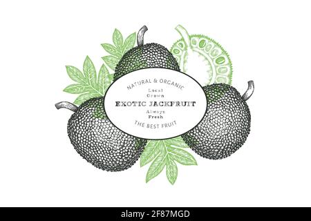 Handgezeichnete Skizze Stil Jackfruit Banner. Organic frisches Obst Vektor-Illustration. Retro Brotfrucht Design Vorlage Stockfoto