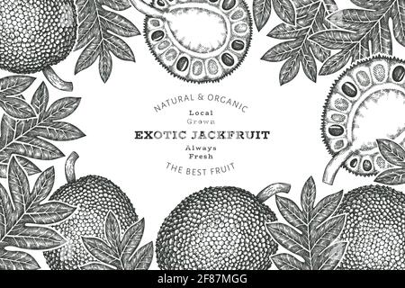 Handgezeichnete Skizze Stil Jackfruit Banner. Organic frisches Obst Vektor-Illustration. Retro Brotfrucht Design Vorlage Stockfoto