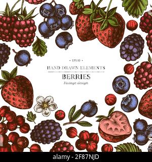 Farbige Elemente Design mit Erdbeere, Heidelbeere, rote Johannisbeere, Himbeere, Brombeere Stock Vektor