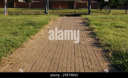 Steinpflaster, Mosaikstil, der einen Pfad mit Gras an den Seiten bildet, grüne Vegetation im Hintergrund, Baum-, Rasen- und Mauerwerk-Konstruktion, Brasilien, Stockfoto