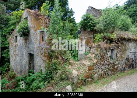 Hausruinen in Nordeste, Sao Miguel Insel, Azoren Stockfoto