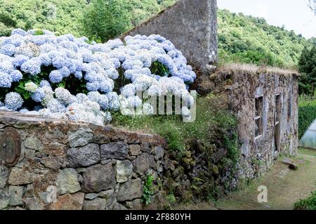 Hausruinen in Nordeste, Sao Miguel Insel, Azoren Stockfoto