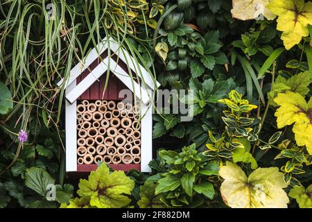 Weißes und braunes Sektenschutzhaus zwischen Gartenpflanzen Stockfoto