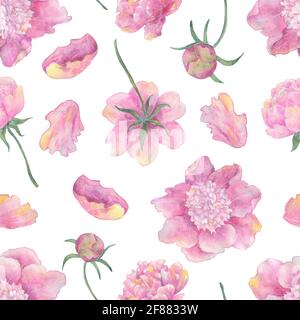 Nahtloses Muster mit schönen Pfingstrosen-Blüten und Blättern isoliert auf Weiß. Handgezeichnete Aquarellillustration, Sommer- und Frühlingskonzept der Saison Stockfoto