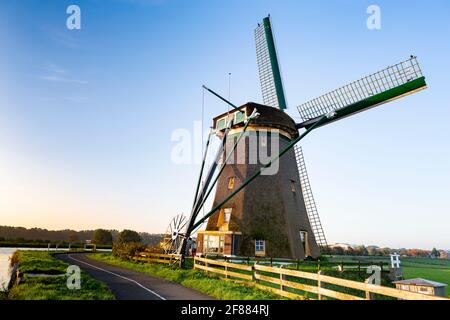 Die historische Lisserpoel Windmühle wurde 1676 gebaut. Entlang des Flusses Ringvaart. Auf dem Rooversbroekdijk im Hellegatspolder in den Niederlanden. Stockfoto