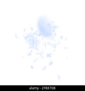 Hellblaue Blütenblätter fallen herunter. Bizarre romantische Blumen explodieren. Fliegendes Blütenblatt auf weißem quadratischem Hintergrund. Liebe, Romantik Konzept. Erstaunlich Stock Vektor