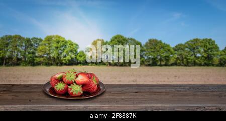Erdbeerplatte auf dem Tisch im Freien vor verschwommener Natur. Stockfoto