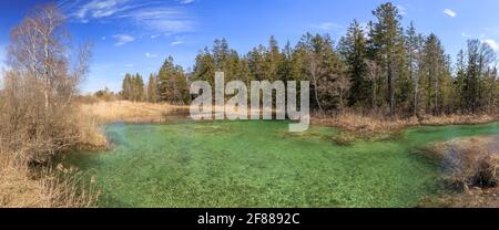 Naturschutzgebiet Wurzacher Ried - Wurzacher Ach-Quelle, Reiseziel in Bad Wurzach in Oberschwaben. Stockfoto