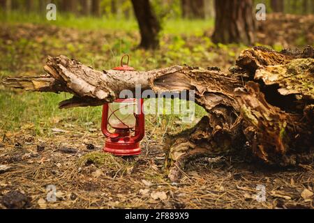 Petroleumlampe im Wald. Abstraktes Foto Stockfoto