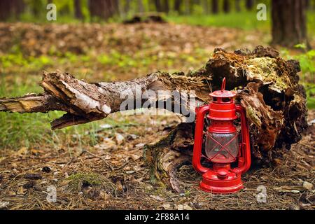 Petroleumlampe im Wald. Abstraktes Foto Stockfoto