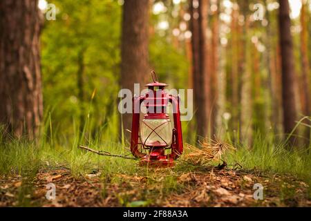 Petroleumlampe im Wald. Abstraktes Foto Stockfoto