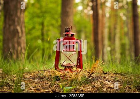 Petroleumlampe im Wald. Abstraktes Foto Stockfoto