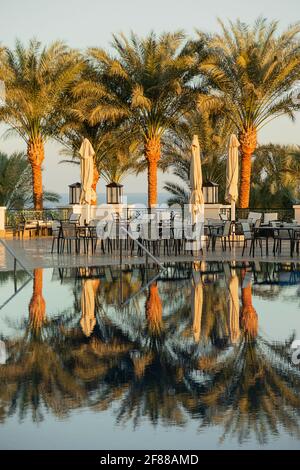 Spiegelung von Ästen von Palmen im Pool in einem tropischen Land. Stockfoto