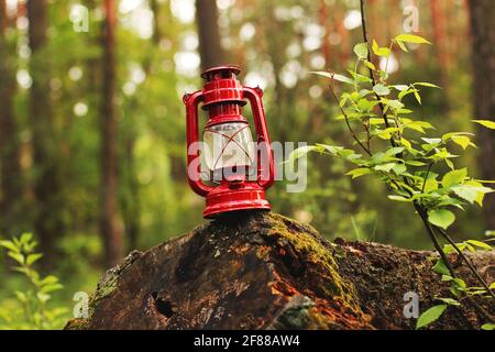 Petroleumlampe im Wald. Abstraktes Foto Stockfoto