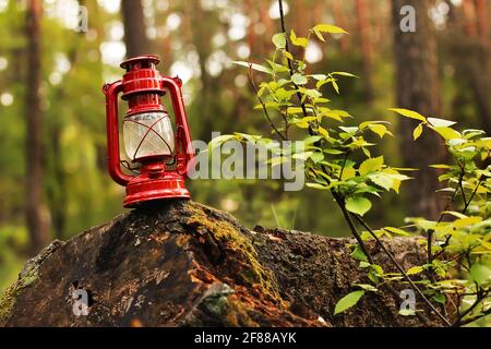 Petroleumlampe im Wald. Abstraktes Foto Stockfoto