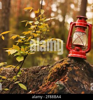 Petroleumlampe im Wald. Abstraktes Foto Stockfoto