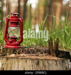 Petroleumlampe im Wald. Abstraktes Foto Stockfoto