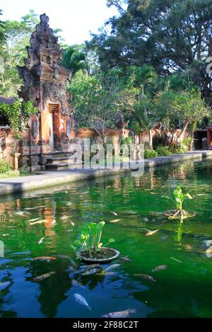 Tirta Empul Tempel mit Wasser und Koi Fisch in Bali, Indonesien Stockfoto