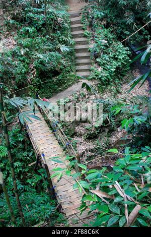 Steintreppen führen zu einer gewebten Bambusbrücke über den Bach im Dschungel im ländlichen Bali, Indonesien Stockfoto