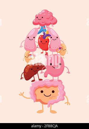 Komische Stapel von Organen Stock Vektor