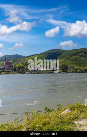 Wachau bei Durnstein, UNESCO-Weltkulturerbe, Landschaft mit Weinbergen und Donau, Österreich Stockfoto