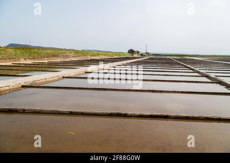 Traditionelles Salzgewinnungslager (Salinas) in Figueira da Foz, Portugal Stockfoto
