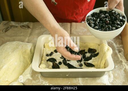 Mom's Pies.der Teig wird in eine Backform gelegt. Mama legt die zweite Schicht der Füllung aus gefrorener schwarzer Johannisbeere mit ihren Händen aus. Garzeit Stockfoto