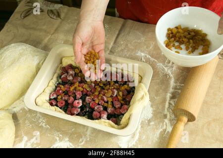 Mamas Kuchen. Der Teig wird in eine Backform gegeben. Mama legt die vierte Schicht der Füllung aus getrockneten Aprikosen und Rosinen mit ihren Händen aus. Cooki Stockfoto