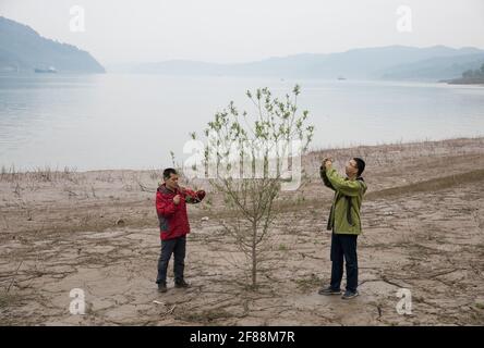 (210412) -- ZHONGXIAN, 12. April 2021 (Xinhua) -- Forscher beobachten die Vegetationseigenschaften in der Fluktuationszone des drei-Schluchten-Stausees im Bezirk Zhongxian, südwestlich von Chongqing in China, 10. April 2021. Das drei-Schluchten-Projekt ist ein riesiges, multifunktionales Wasserkontrollsystem am Jangtze-Fluss, Chinas längster Wasserstraße, mit einem 2,309 Meter langen und 185 Meter hohen Staudamm.der Wasserstand des Stausees schwankt unweigerlich bei einem jährlichen Abfluss-Speicherzyklus zwischen 145 und 175 m am Staudamm. Die Wasserpegelschwankungszone trifft auch auf einige ökologische p Stockfoto