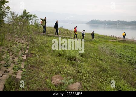 (210412) -- ZHONGXIAN, 12. April 2021 (Xinhua) -- Forscher werden in der Fluktuationszone des drei-Schluchten-Stausees im Bezirk Zhongxian, Chongqing, im Südwesten Chinas, gesehen, 10. April 2021. Das drei-Schluchten-Projekt ist ein riesiges, multifunktionales Wasserkontrollsystem am Jangtze-Fluss, Chinas längster Wasserstraße, mit einem 2,309 Meter langen und 185 Meter hohen Staudamm.der Wasserstand des Stausees schwankt unweigerlich bei einem jährlichen Abfluss-Speicherzyklus zwischen 145 und 175 m am Staudamm. Die Wasserständerungszone stößt auch auf einige ökologische Probleme, einschließlich der Bodenerosio Stockfoto