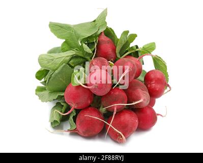 Haufen reifer Radieschen auf weißem Hintergrund isoliert Stockfoto