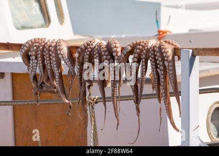 Octopus hängt am Kai in Naoussa, einem kleinen Fischerdorf, Paros Island, Griechenland, auf einem Stock auf, um es zu trocknen. Stockfoto