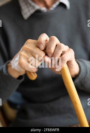 Die Hände des alten Mannes halten einen hölzernen Spazierstock Stockfoto