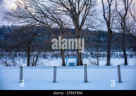 Eine für zwei Personen gebaute und blau lackierte Holzschaukel blickt an einem kalten Wintertag nach einem Schneesturm auf den gefrorenen Susquehanna River in Owego, NY. Stockfoto