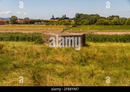 Typ 24 WWII Pillbox, an sonnigen Sommertagen am Fluss Perret, Bridgewater, Somerset, Großbritannien. Stockfoto