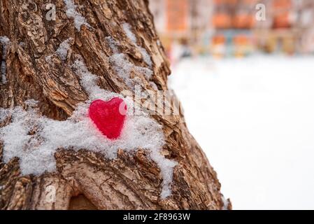 Eine rote Figur eines Herzens aus Eis liegt im Schnee auf der Rinde eines Baumes. Unerfülltes Liebeskonzept. Unscharfer Hintergrund, Kopierbereich Stockfoto