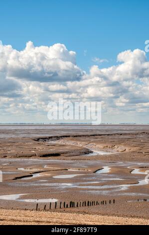 Der Pfad des Wolferton Creek führt durch das Wattenmeer des Wash in der Nähe von Snettisham in Norfolk. Stockfoto