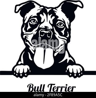 Bull Terrier Peeking Dog - Kopf isoliert auf weiß Stock Vektor