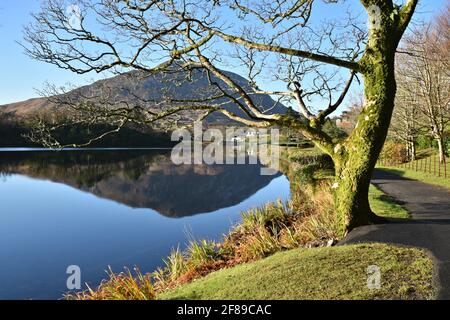 Landschaft mit Panoramablick auf die Kylemore Abbey viktorianische ummauerte Gärten am Ufer des Pollacapull Lough in Connemara, County Galway Ireland. Stockfoto