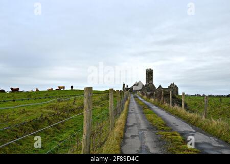 Landschaft mit Panoramablick auf das mittelalterliche Franziskaner-Kloster Ross Errilly in Headford, County Galway, Irland. Stockfoto